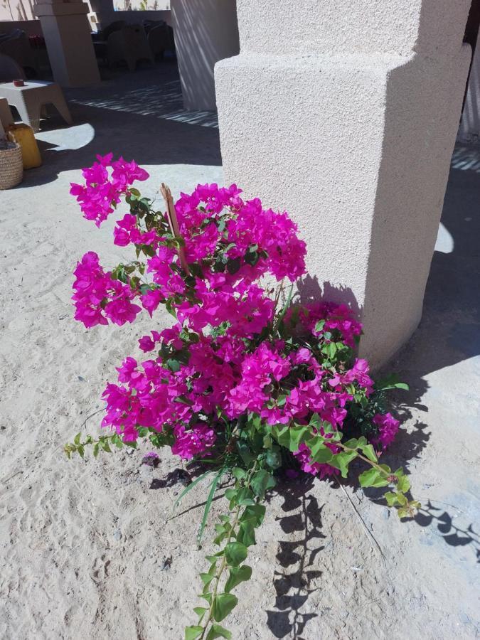 Hotel Hayaat Siwa Hot Spring Siwa Oasis Exterior foto